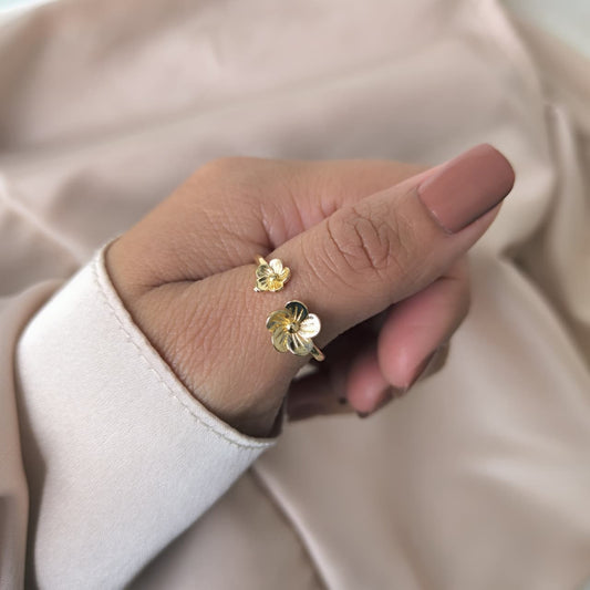 Anillo Lía