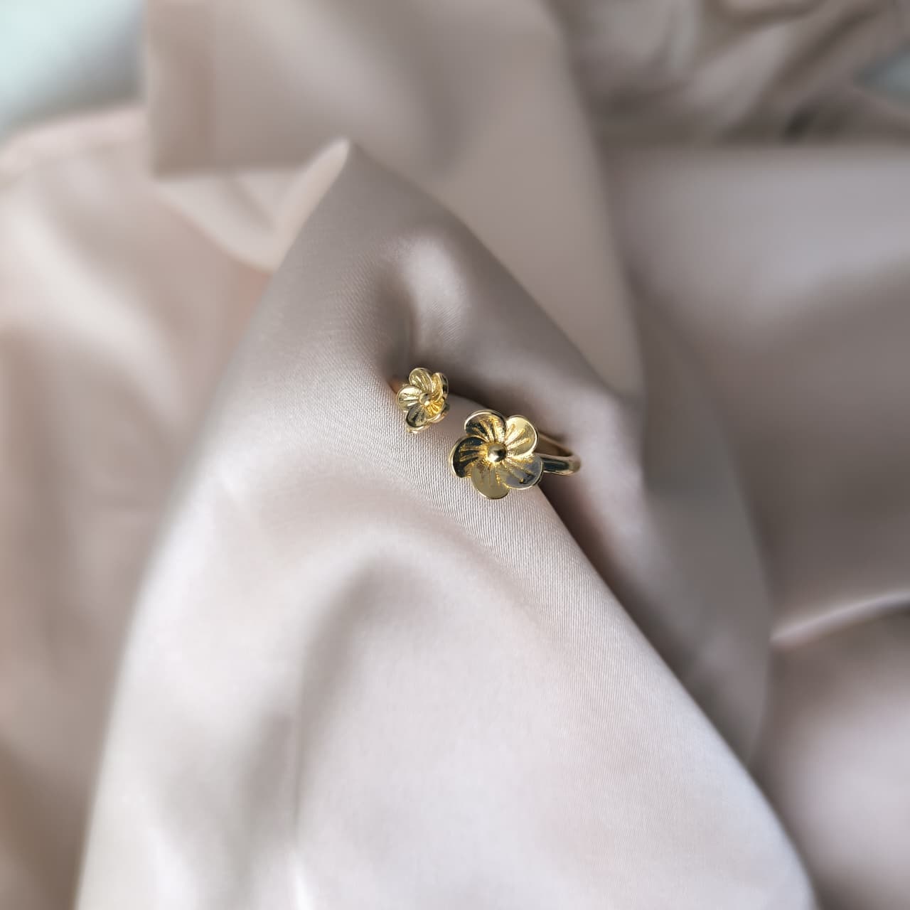 Anillo Lía